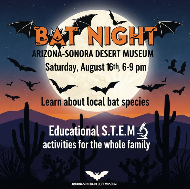 bat night