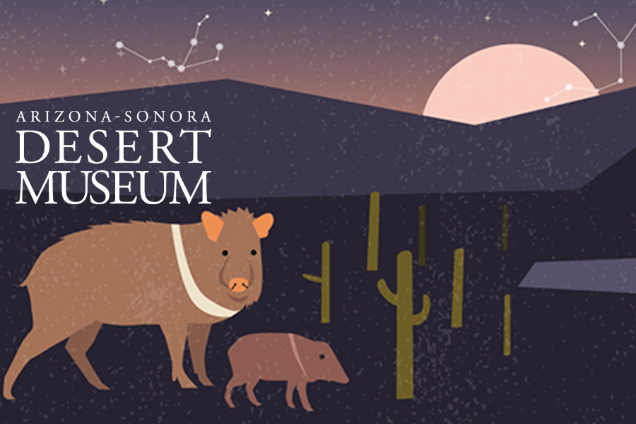 desert museum bat night women in defense event