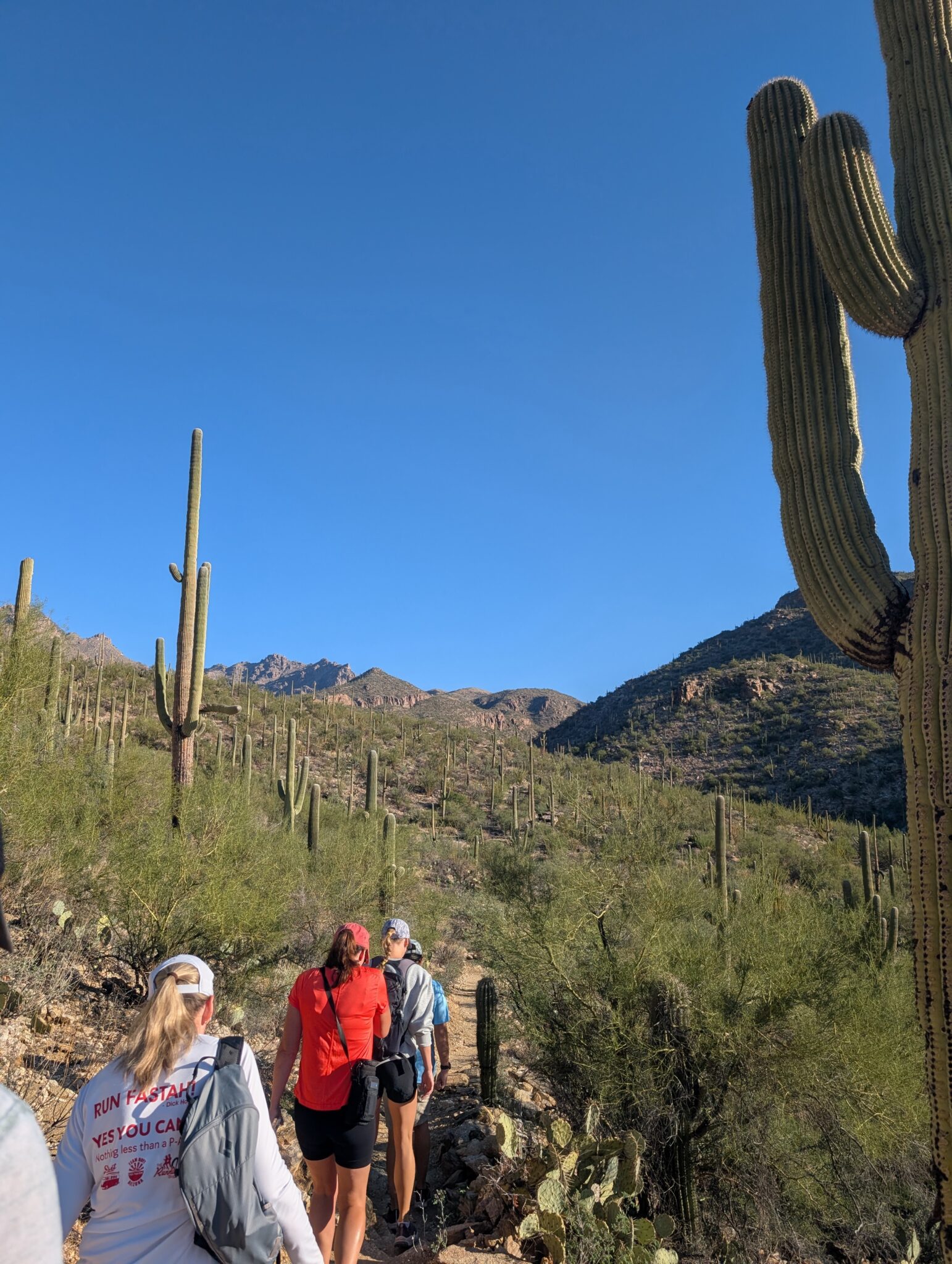 Beautiful weather on this chilly fall morning in the Sonoran desert.